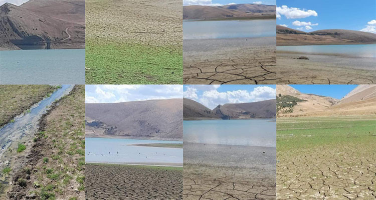 السدود التونسية دون ماء في عز فصل الشتاء !