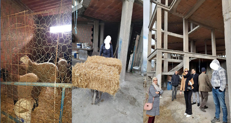 استرجاع عقار من شخص تعهد سنة 2004 ببناء مبيت جامعي وحوله إلى زريبة أغنام!