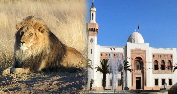 بلدية صفاقس ''تمتنع'' عن قبول أسد هدية ثمنه مئات الملايين !