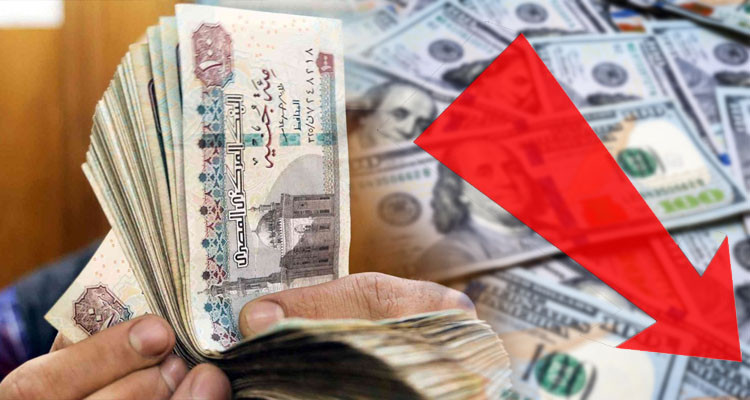 الجنيه المصري يواصل تقهقره أمام الدولار الأمريكي