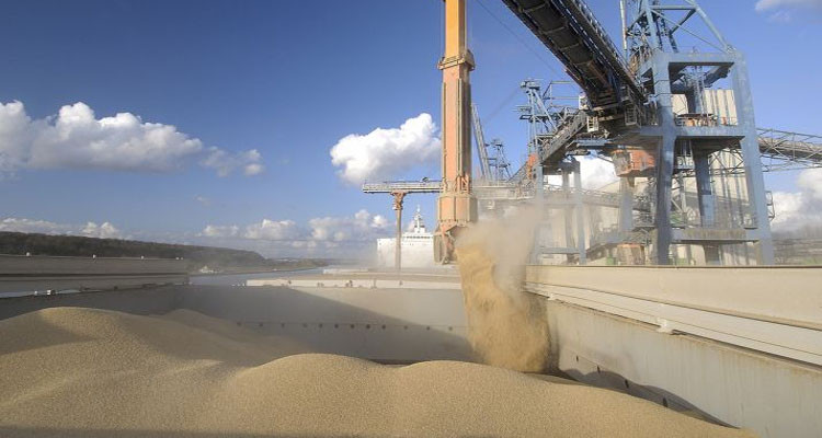 تونس تقتني 175 ألف طنا من القمح والشعير العلفي في مناقصة دولية 