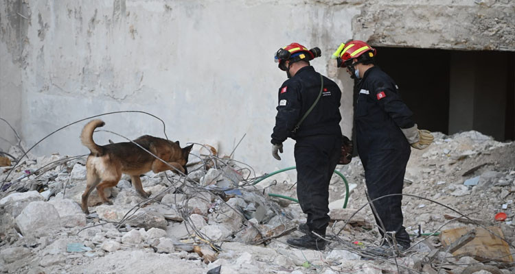 فرقة الأنياب تشارك في البحث عن ناجين تحت أكوام الأنقاض 