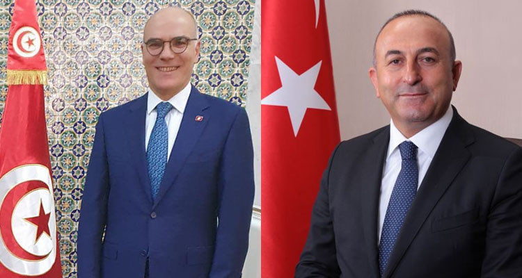 وزير الشؤون الخارجية يجري محادثة هاتفية مع نظيره التركي 