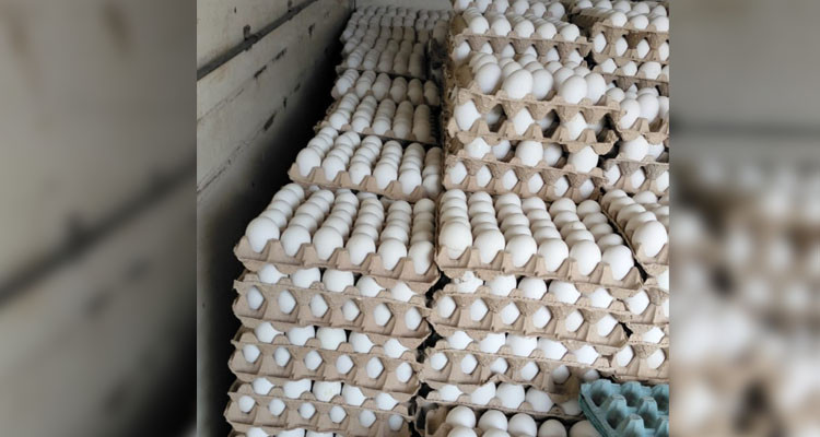 أريانة: حجز 60 ألف بيضة كانت موجهة إلى الاحتكار والمضاربة 