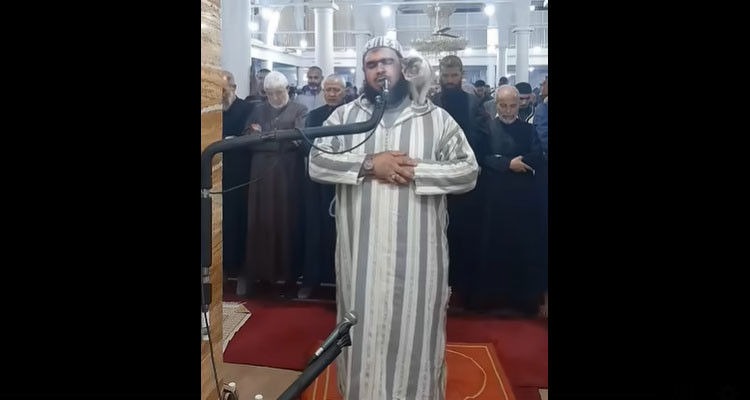 قطة تلاطف الإمام وتصعد على كتفه أثناء أداء الصلاة (فيديو)