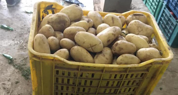 المراقبة الاقتصادية تحجز أكثر من 3 أطنان ونصف من البطاطا 