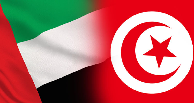 الامارات تشجب استهداف كنيس الغريبة بجربة وتشيد بحنكة الحكومة التونسية 