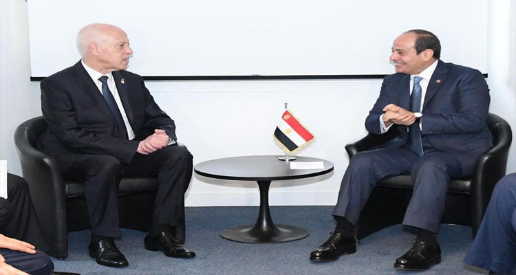 السيسي لرئيس الدولة: مصر إلى جانب تونس في ظرفها الدقيق الذي تمر به