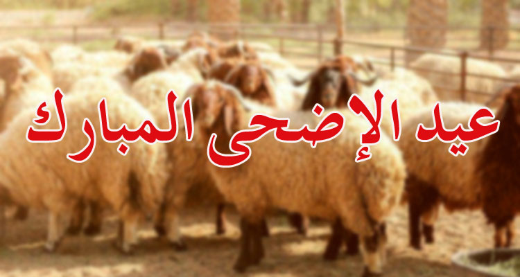 السعودية تعلن تاريخ عيد الأضحى لهذا العام