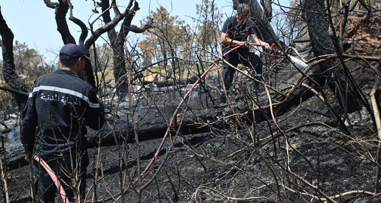 سليانة: السيطرة على حريق أتى على مئات حزم التبن
