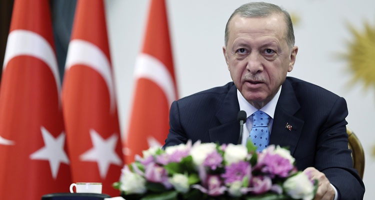 أردوغان: ما تعيشه فرنسا حاليا ثمن لماضيها الاستعماري وفكرها المتطرف 