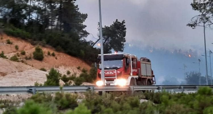 سليانة: السيطرة على حريق اندلع بجبل ''بلوطة 2''