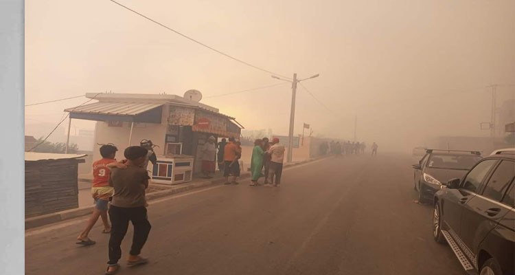 النهضة  تتضامن مع متضرري الحرائق وتدعو السلطات إلى تحمل مسؤولياتها 