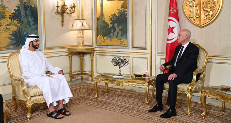 رئيس الجمهورية يستقبل وزير الدولة الاماراتي شخبوط بن نهيان آل نهيان