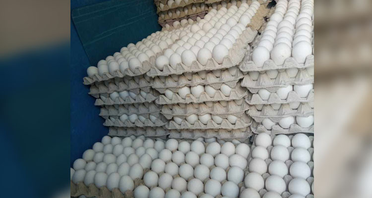 المراقبة الاقتصادية تحجز 60 ألف بيضة على متن احدى الشاحنات