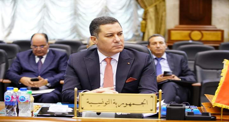 وزير النقل: كل خبرات وإمكانيات تونس على ذمة فلسطين في مجهودات إعادة الاعمار
