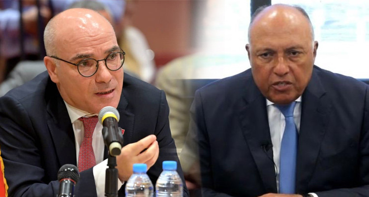 كف العدوان وإيصال المساعدات التونسية: محور محادثتين لعمار مع نظيره المصري