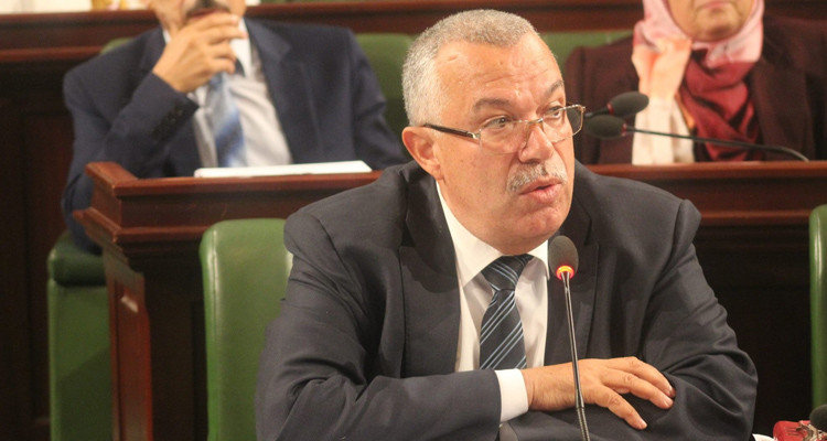 قاضي التحقيق يقرر الإبقاء على نور الدين البحيري بحالة سراح 