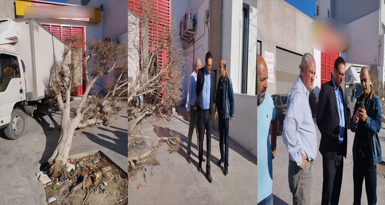 بلدية صفاقس تقاضي صاحب مغازة قطع شجرة دون مبرر