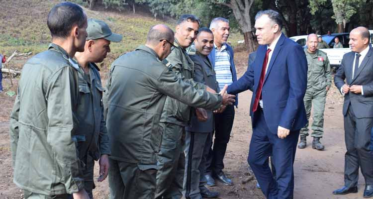 باجة: الشروع في غراسة ألف شجرة خروب بجبل الجوزة المتضرر من الحرائق