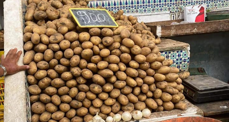 مصادرة أكثرمن 1.2 طن من البطاطا أثناء محاولة ترويجها خارج المسالك القانونية
