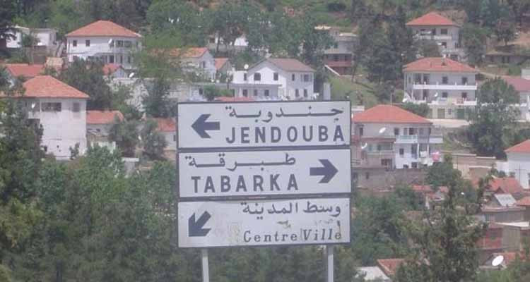 بأمر رئاسي: انتزاع أراض لمشروع تجميل المدخل الشمالي لولاية جندوبة