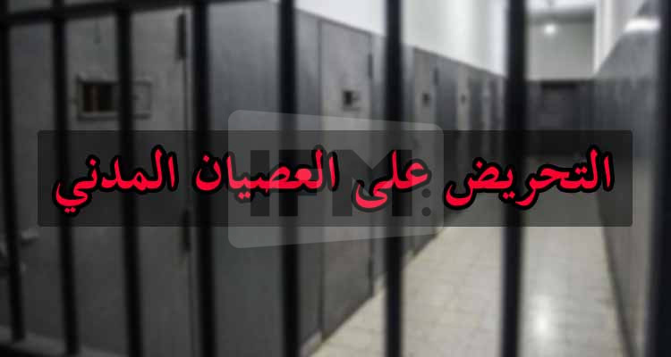 بطاقة إيداع بالسجن في حق شخص دعا إلى ''العصيان المدني''