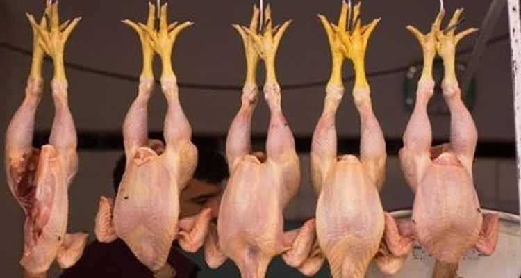 أعوان المراقبة يضبطون شاحنة تحمل كميات من لحوم الدواجن ''الجيفة''