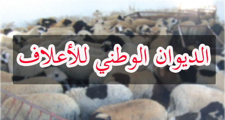 صدور الأمر الرئاسي المتعلق بإحداث الديوان الوطني للأعلاف