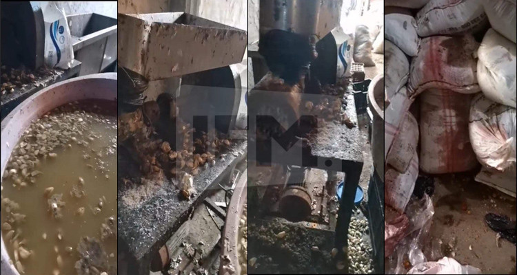 بين سوسة والوطن القبلي: تفكيك وفاق إجرامي لترويج التوابل الفاسدة