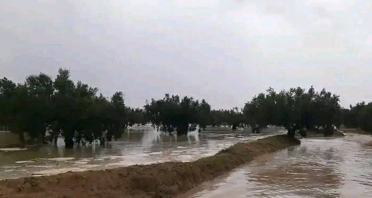 معهد الرصد الجوي يتوقع تهاطل أمطار غزيرة  بأقصى الشمال الغربي