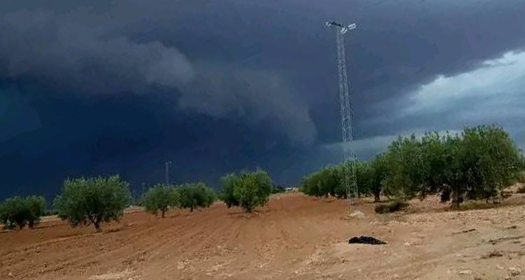 معهد الرصد الجوي يتوقع تهاطلا ضعيفا للأمطار
