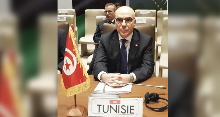 عمار: قناعة الرئيس سعيد أن التدخلات الخارجية لا يمكن أن تحل الأزمة الليبية