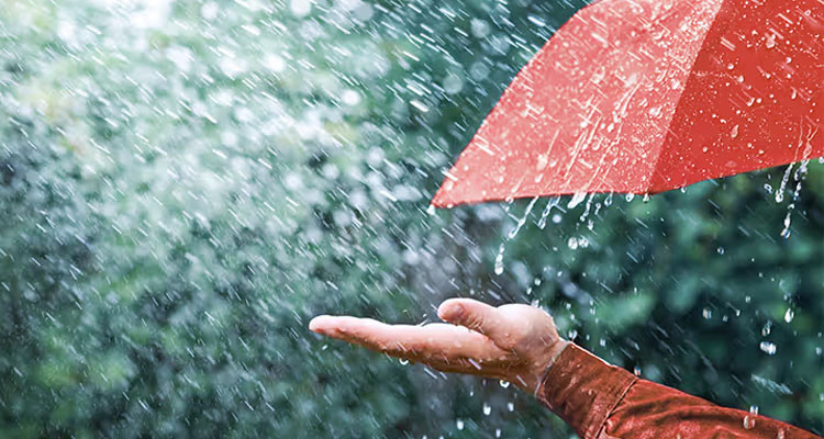 معهد الرصد الجوي يتوقع تهاطل الأمطار الرعدية بالشمال