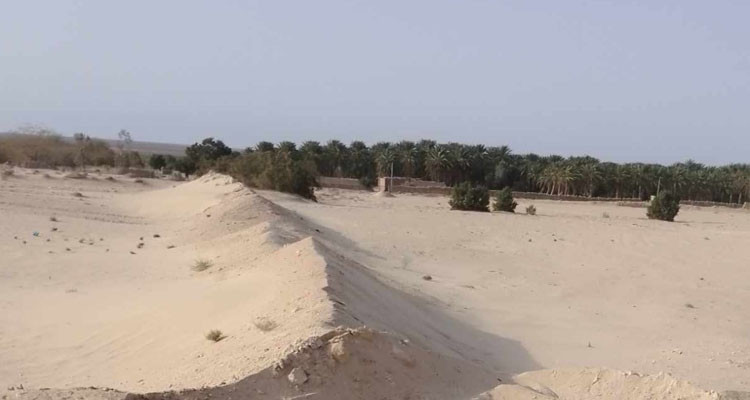استعادة عقارين فلاحيين استولى عليهما مواطنون دون وجه حق 