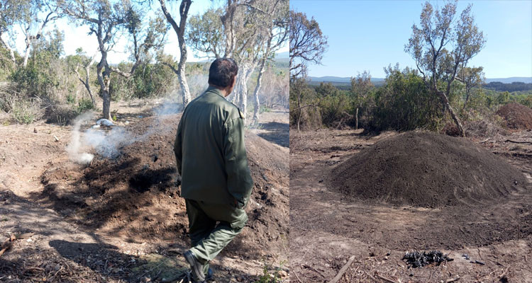 دائرة الغابات تضبط 20 ''مردومة'' مشتعلة بعين دراهم 