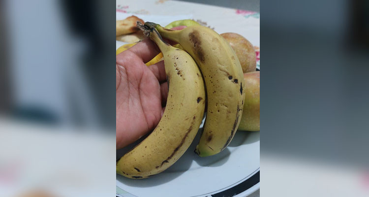 بن عروس: حجز قرابة ثلاثة أطنان من الموز الفاسد