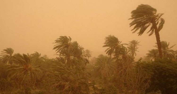 قابس: إزالة كثبان الرمال المتكدسة بالطريق الجهوية عدد 15 