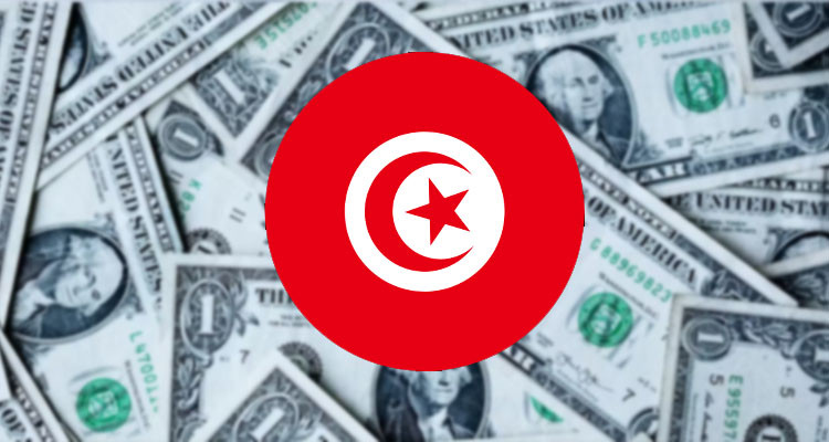 تحويلات مواطنينا بالخارج تسهم في تغطية قرابة ثلثي الدين الخارجي 