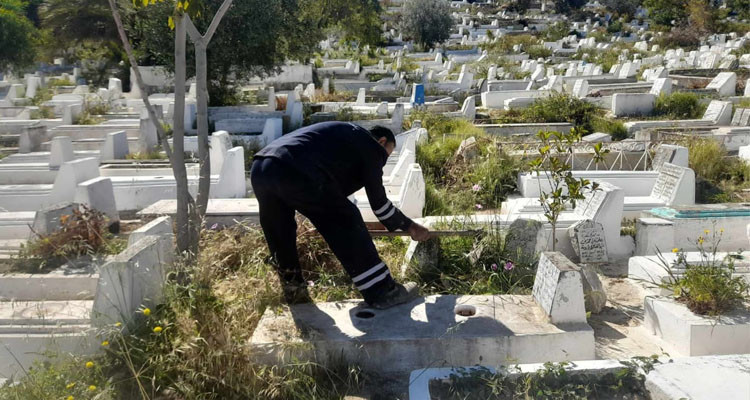 بلدية تونس  تتعهد مقبرة الجلاز بالنظافة والصيانة 