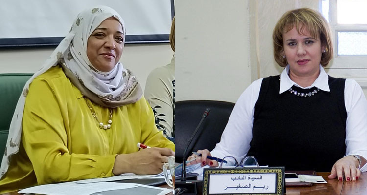 نائبتان تقترحان الاستعانة بالأيدي العاملة لأفارقة جنوب الصحراء 