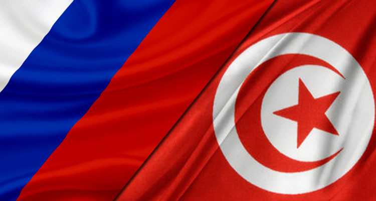 روسيا تنفي وجود مقاتلتين لها في جزيرة جربة