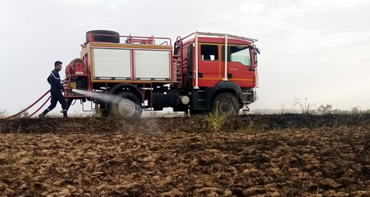 المدير الجهوي للحماية المدنية بباجة يكشف عن حجم خسائر حريق حقل الحمرونية