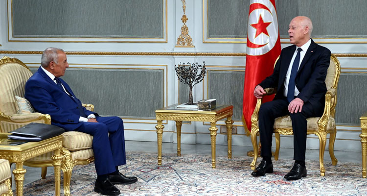 رئيس الدولة يطلع على مشاريع البنك العربي الدولي لاستصلاح عدد من المدارس  