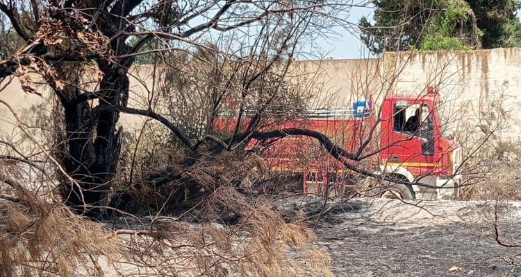 حريق يأتي على 21 هكتار من ضيعات القوارص بمعتمدية منزل بوزلفة