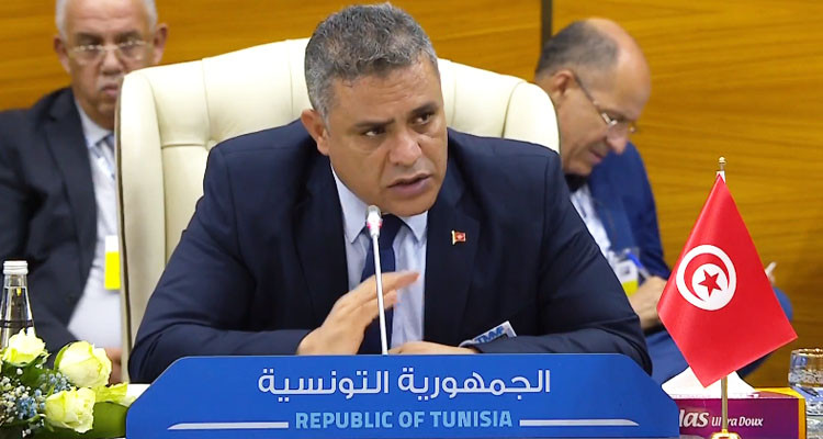 وزير الداخلية: المهاجرون غير النظاميين يكبدون تونس سنويا خسائر بقرابة 350 مليار