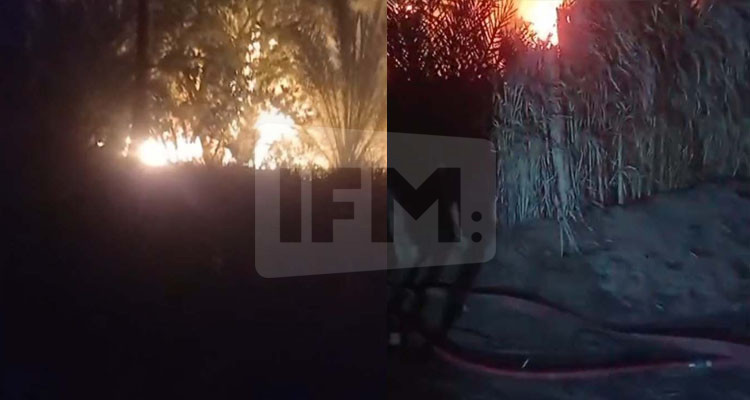 نشوب حريق هائل بواحة جر العرق بتوزر 