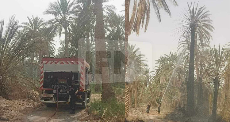 قبلي: نشوب حريق أتى على 75 من أصول النخيل 