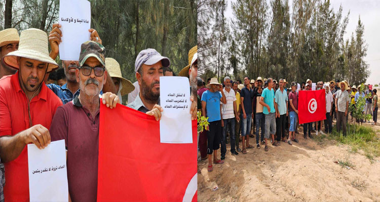 فلاحو قفصة يتهمون شركة خاصة باستنزاف المائدة المائية وإبـ‘ادة محاصيلهم 