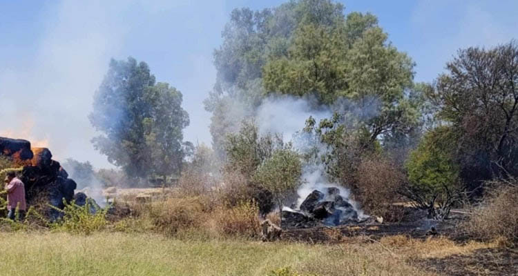 بنزرت: النيران تشتعل مجددا بجبل المنارة